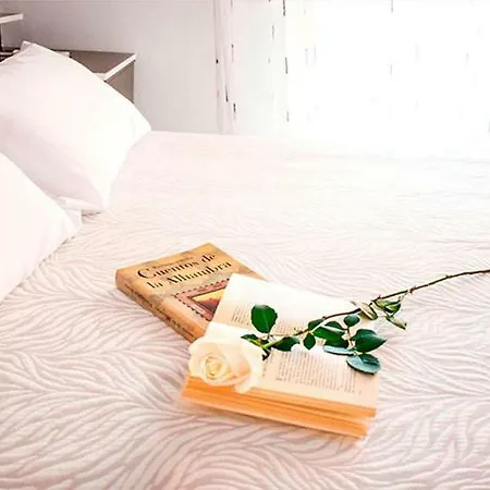 Hotell Albero