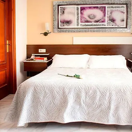 Hotel Albero Granada
